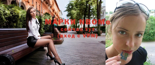 крисы Баксан