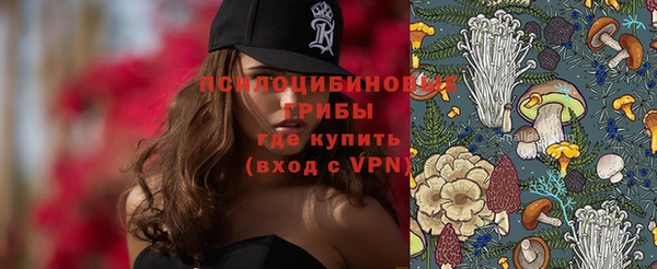 крисы Баксан