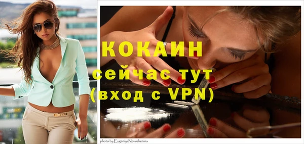 крисы Баксан