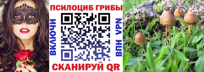 Псилоцибиновые грибы Magic Shrooms  Астрахань 